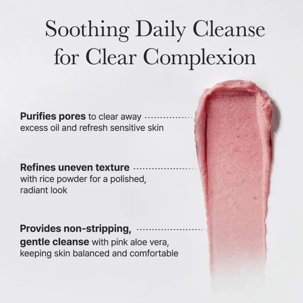 Arencia Fresh Rosehip Rice Mochi Cleanser 120g
