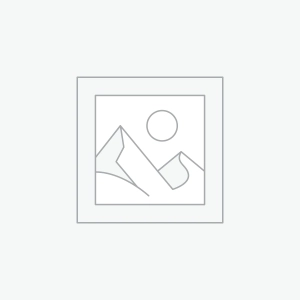 عنصر نائب Placeholder